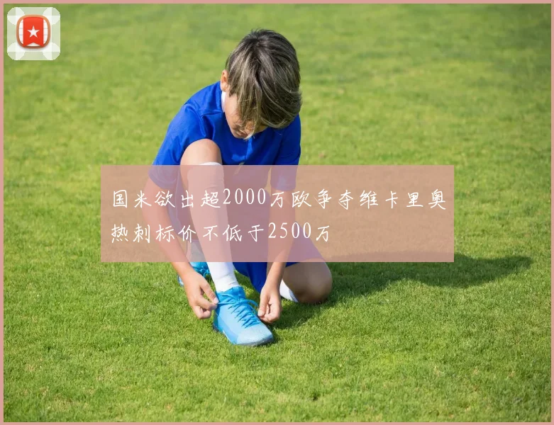 国米欲出超2000万欧争夺维卡里奥热刺标价不低于2500万
