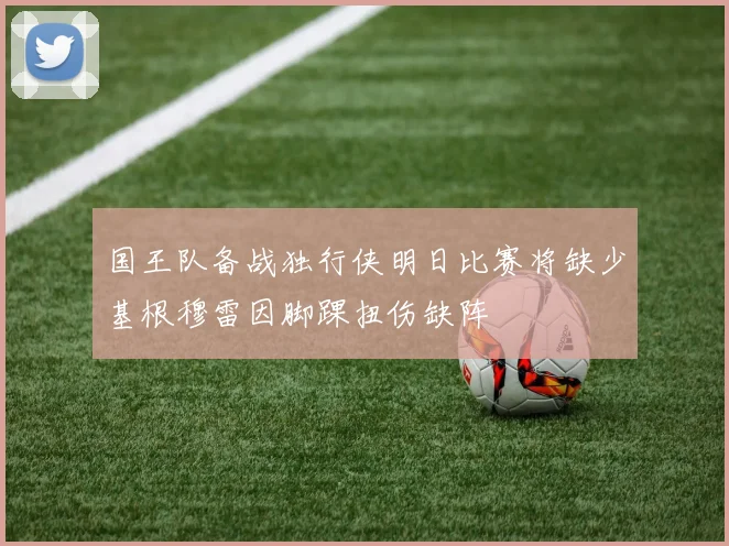 国王队备战独行侠明日比赛将缺少基根穆雷因脚踝扭伤缺阵