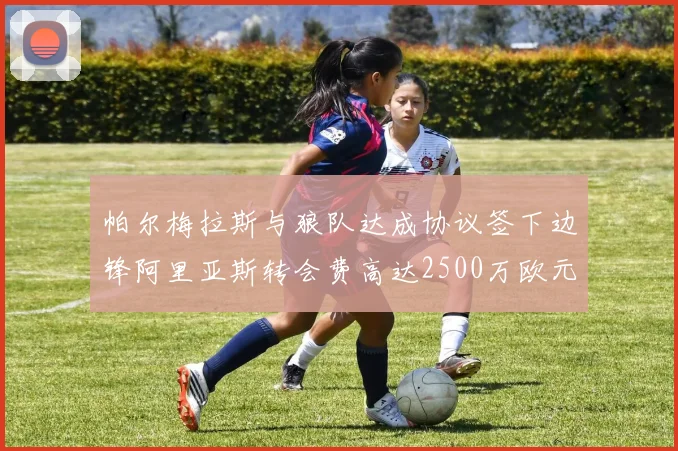 帕尔梅拉斯与狼队达成协议签下边锋阿里亚斯转会费高达2500万欧元